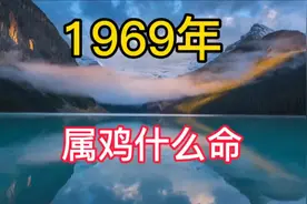 1969年属鸡什么命视频封面