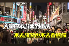 对日免签，大量日本游客到重庆，不去旅游也不去看熊猫，那来干啥视频封面