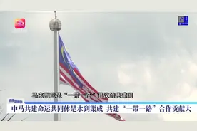 翁诗杰：美国利用关税政策分化东盟，东盟外贸将受冲击