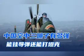单价不到10万，快速突击永不坠毁，国产“空中三蹦子”有多强？
