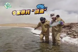 海拔4000米高原摸鱼啥感觉