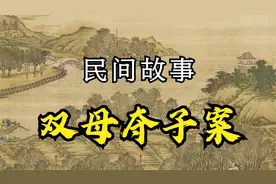 民间奇案故事：《双母夺子案》视频封面