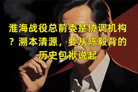 淮海战役总前委是协调机构？溯本清源，要从陈毅背的历史包袱说起