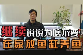 继续说说为啥不要在家放鱼缸养鱼