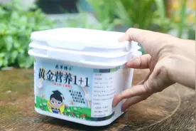 家庭养花种菜可以用什么通用型肥料呢？视频封面