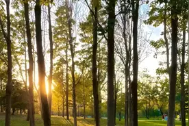 北京今天早晚寒冷，最高气温6℃，午间适宜出行和开窗通风