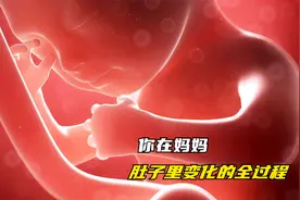 揭秘你在妈妈肚子里变化的全过程！