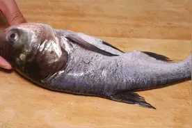 小鲢鱼超解馋做法，简单一做，肉质鲜嫩入味，一点也不腥，吃着香