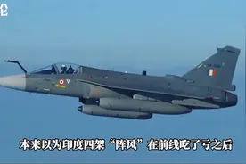 歼10CE紧急起飞，击落阵风和苏30MKI，20架根本不够用视频封面