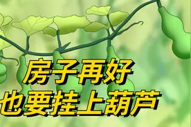 房子再好，也要挂上葫芦，挂葫芦增福禄，有何道理？