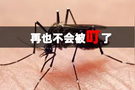 2024年都快过完了，蚊子灭绝计划进行到哪步了？