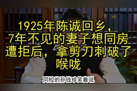 1925年陈诚回乡，7年不见的妻子想同房遭拒后，拿剪刀刺破了喉咙视频封面