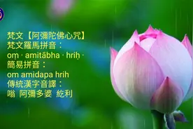 阿弥陀佛心咒 梵文 果滨居士 108遍视频封面