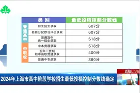 2024年上海市高中阶段学校招生最低投档控制分数线确定视频封面