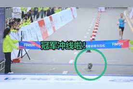 遥遥领先！重庆涪陵半程马拉松终点杀出一只猫咪，比冠军还先冲线视频封面