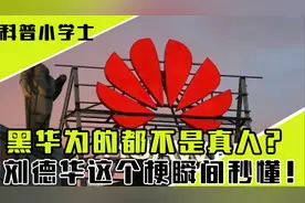 为什么黑华为的都不是真人？看了刘德华这个梗瞬间秒懂！