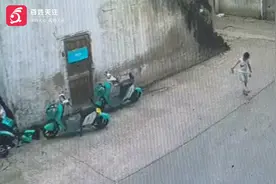 浙江台州两只流浪幼猫遭小男孩虐待：被摔打脚踢 一死一病危视频封面