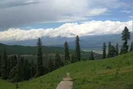 2024年，定是江苏企退人的幸福年，来测算一下过渡性养老金视频封面