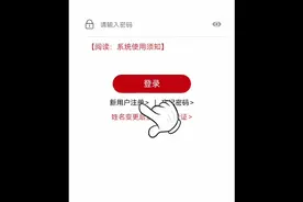 登记注册身份认证视频操作指引