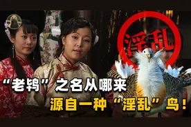 为何青楼老板娘叫老鸨？鸨能和所有鸟交配，真的是“万鸟之妻”？