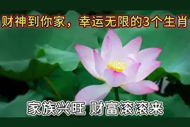 财神到你家，幸运无限的3个生肖，家族兴旺 财富滚滚来视频封面