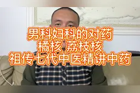 男科妇科用的对药：橘核 荔枝核——祖传七代中医精讲中药学