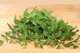 薄荷不光可以泡水喝，还能做着吃，分享新做法，香脆解馋，真不错