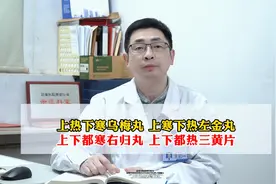 上热下寒乌梅丸，上寒下热左金丸，上下都寒右归丸上下都热三黄片视频封面