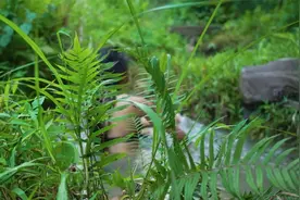 【极限荒野】小姐姐户外泥潭脱险视频封面