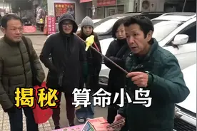 街头小把戏揭秘，小鸟算姓背后的科学原理，灵鸟叼签鸟卦江湖戏法