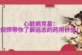 心脏病克星：倪师带你了解远志的药用价值！视频封面
