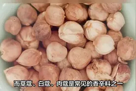 三种最基本的香料肉蔻、草蔻、白蔻，很容易混淆，看完后建议收藏