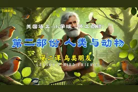 美国语文小学版-人类与动物-鸟类朋友
