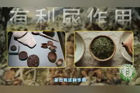 “泄洪”大师——速尿