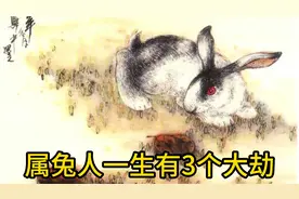 属兔人一生有3个大劫，出生在这几个农历月份的属兔人劫难多视频封面