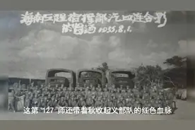 1961年，第43军第一次撤编，各野战师去向何处？血脉主体得到保留视频封面