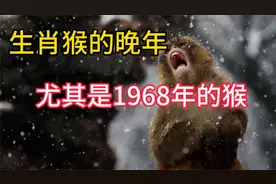 生肖猴的晚年，1968年的猴，是什么晚年生活？视频封面
