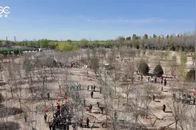 2024年共和国部长义务植树活动在北京举行视频封面