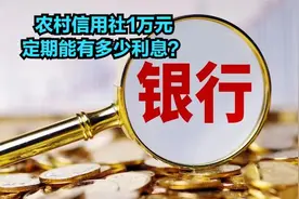 2025年2月27日最新存款利率：农村信用社1万元定期能有多少利息？视频封面