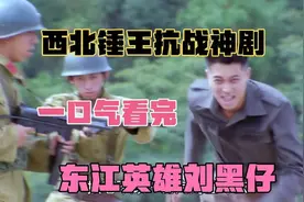 刘黑仔来了（真实人物改编）一口气看完东江英雄刘黑仔视频封面