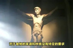 基督教不吃什么食物？为什么？