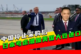 中国停止采购后，日本要买美国大豆？美方拒发签证，耿爽火力全开视频封面