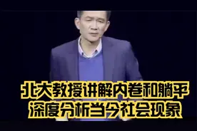北大教授讲解内卷和躺平深度分析当今社会现象视频封面