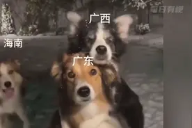 被网友调侃“琼东西”的华南f3有多统一？