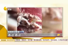 短视频称“皮皮虾被注胶”是真的吗_视频封面