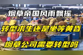 烟草帝国风雨飘摇，转型求生还是坐等黄昏，烟草公司需要转型吗视频封面