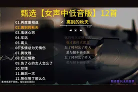精选女声中低音歌曲，无损音质完整歌词版，欣赏不一样音色