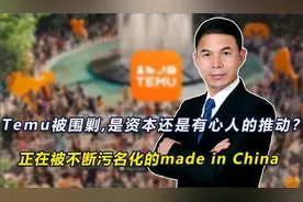 temu被围剿，是资本还是有心人的推动？正在被不断污名化的...视频封面