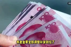 养老金补发即将提速？7月底前全到账？还有惊喜等着您？