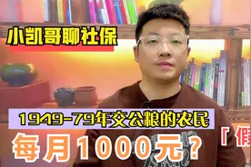 1949-1979年无偿交公粮的农民终于得到回报！每月1000元，靠谱吗视频封面